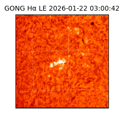 gong - 2026-01-22T03:00:42