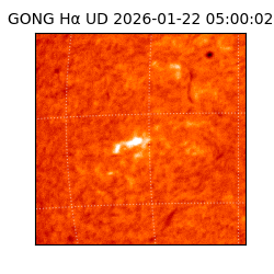 gong - 2026-01-22T05:00:02