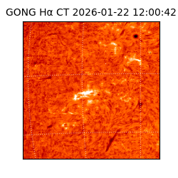 gong - 2026-01-22T12:00:42