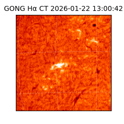 gong - 2026-01-22T13:00:42