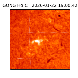 gong - 2026-01-22T19:00:42