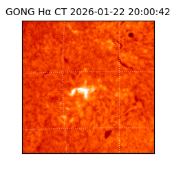 gong - 2026-01-22T20:00:42