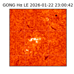 gong - 2026-01-22T23:00:42