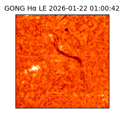 gong - 2026-01-22T01:00:42