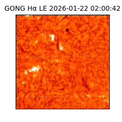 gong - 2026-01-22T02:00:42