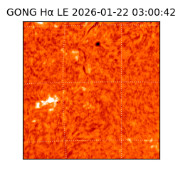 gong - 2026-01-22T03:00:42