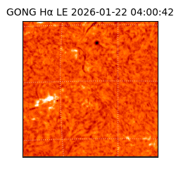 gong - 2026-01-22T04:00:42