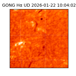 gong - 2026-01-22T10:04:02