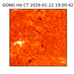 gong - 2026-01-22T19:00:42