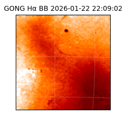 gong - 2026-01-22T22:09:02