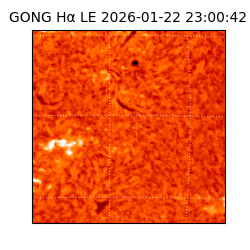 gong - 2026-01-22T23:00:42