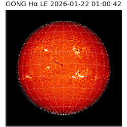 gong - 2026-01-22T01:00:42
