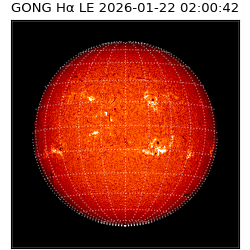 gong - 2026-01-22T02:00:42