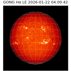 gong - 2026-01-22T04:00:42