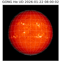 gong - 2026-01-22T08:00:02