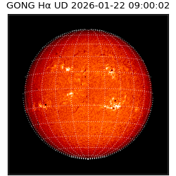 gong - 2026-01-22T09:00:02