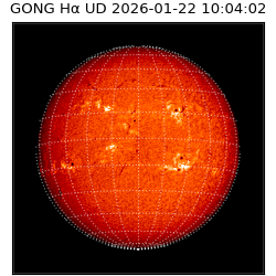 gong - 2026-01-22T10:04:02