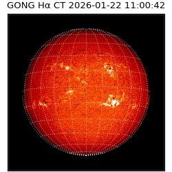 gong - 2026-01-22T11:00:42