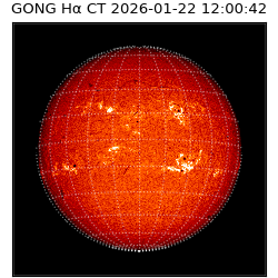 gong - 2026-01-22T12:00:42