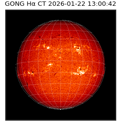 gong - 2026-01-22T13:00:42