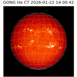 gong - 2026-01-22T14:00:42