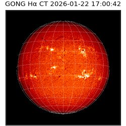 gong - 2026-01-22T17:00:42