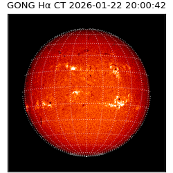 gong - 2026-01-22T20:00:42