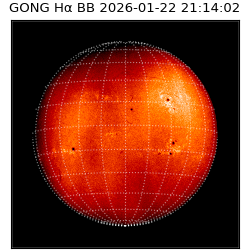 gong - 2026-01-22T21:14:02