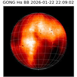 gong - 2026-01-22T22:09:02