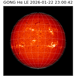 gong - 2026-01-22T23:00:42