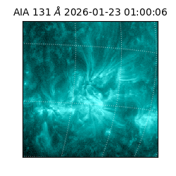 saia - 2026-01-23T01:00:06.626000