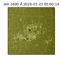 saia - 2026-01-23T05:00:14.126000