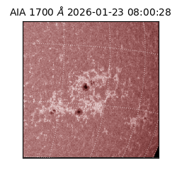 saia - 2026-01-23T08:00:28.717000