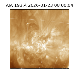 saia - 2026-01-23T08:00:04.843000
