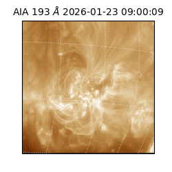 saia - 2026-01-23T09:00:09.468000