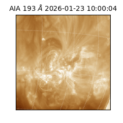 saia - 2026-01-23T10:00:04.843000