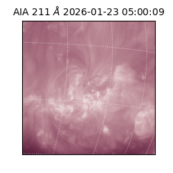 saia - 2026-01-23T05:00:09.626000