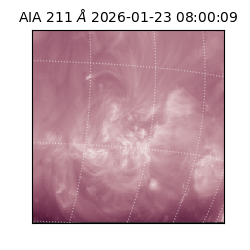 saia - 2026-01-23T08:00:09.632000