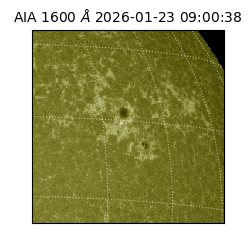 saia - 2026-01-23T09:00:38.126000