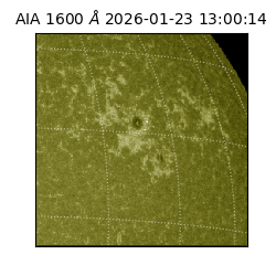 saia - 2026-01-23T13:00:14.118000