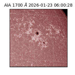 saia - 2026-01-23T06:00:28.717000