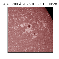 saia - 2026-01-23T13:00:28.718000