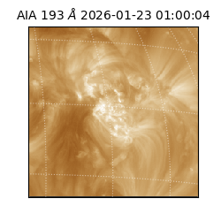 saia - 2026-01-23T01:00:04.843000