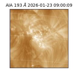 saia - 2026-01-23T09:00:09.468000