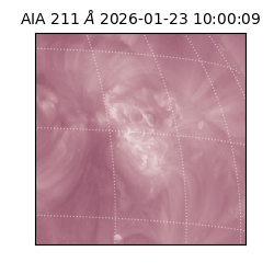 saia - 2026-01-23T10:00:09.626000