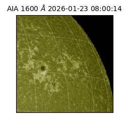 saia - 2026-01-23T08:00:14.131000