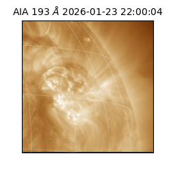 saia - 2026-01-23T22:00:04.843000