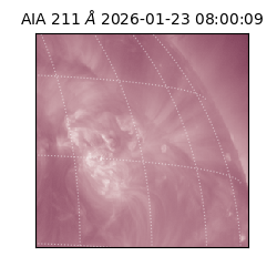 saia - 2026-01-23T08:00:09.632000