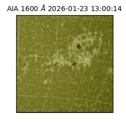 saia - 2026-01-23T13:00:14.118000