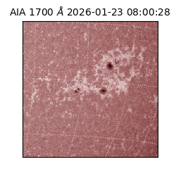 saia - 2026-01-23T08:00:28.717000